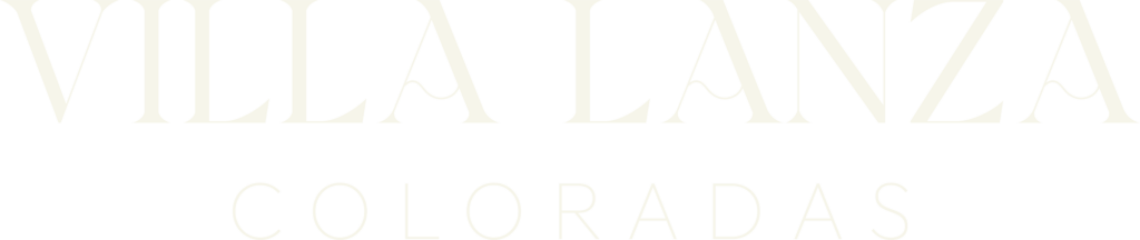 VL_Logo_Blanc